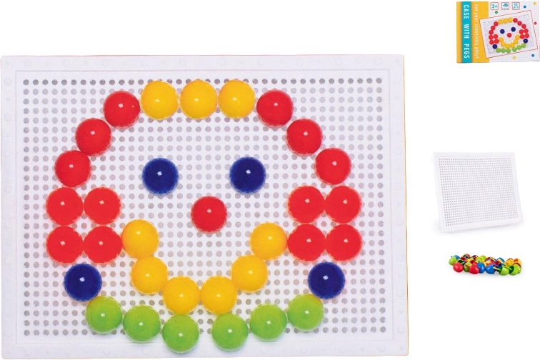 Mosaic with Pegs 50 pcs in a Case