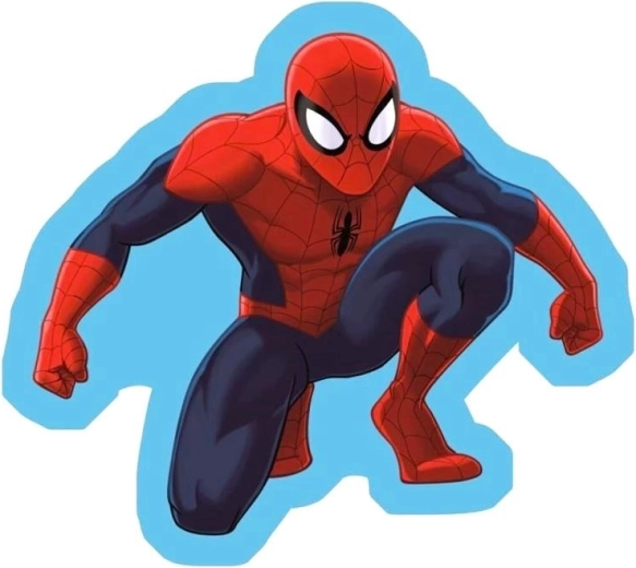 Spidermani padi 35 × 35 cm – 1 tk