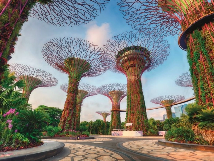 Ravensburger Puzzle Super Trees in Singapore 1500 pieces