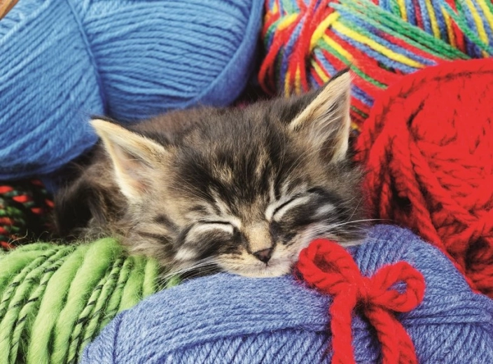 Ravensburger Puzzle Cat with Ball of Yarn XXL 100 Pieces