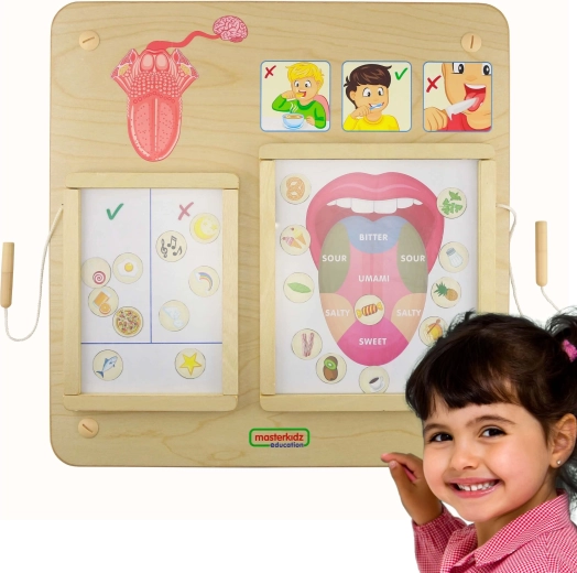 Masterkidz Montessori hariduslik tahvel Maitse
