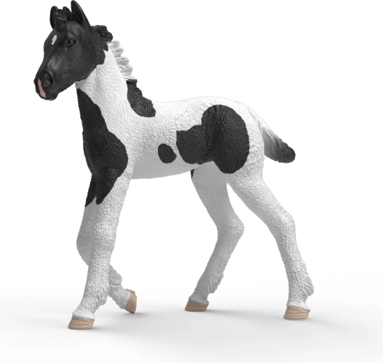 Schleich Horse Club kollektsioneeritav vars Rocky – 1 tk