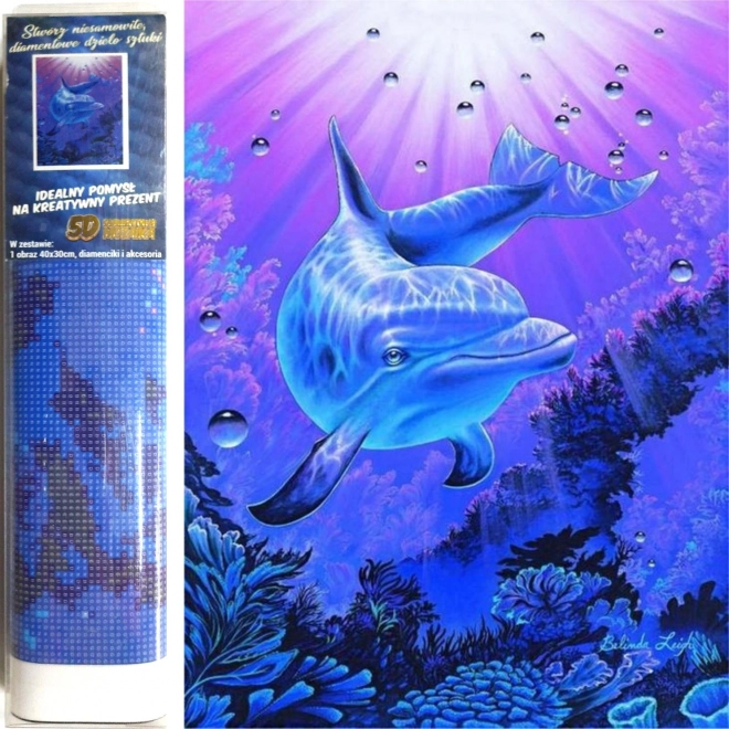 Norimpex teemantmaal delfiin 30 × 40 cm