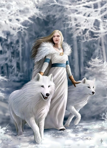 Clementoni puzzle Anne Stokes Winter Guardians 1000 pieces