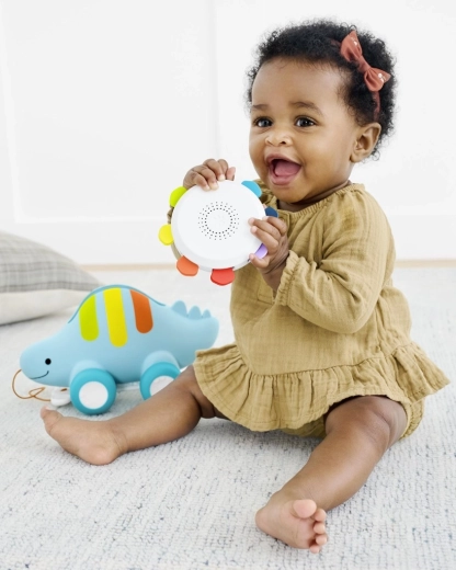 Removable tambourine with sounds