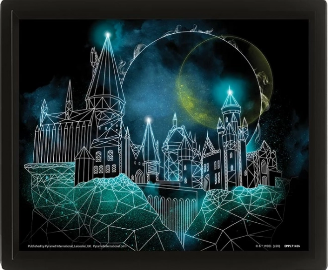 3D pilt HARRY POTTER – Sigatüükas