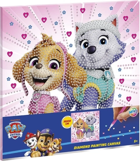 Teemandimaal lõuendil PAW PATROL 30 × 30 cm