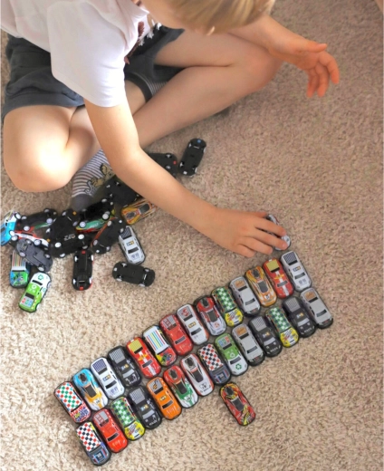 Case for organized storage and carrying