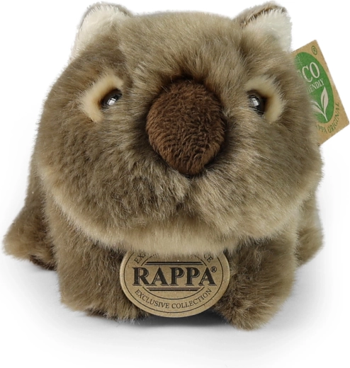 Kompaktne 20 cm suurus väikestele ja suurtele