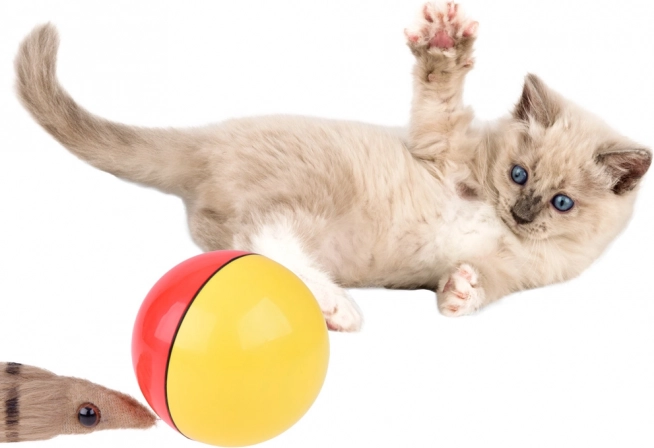Lastele ja koduloomadele