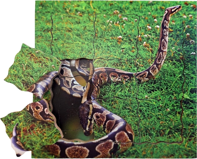 Just Jigsaws Madu ja selle elutsükkel puidust kihiline pusle