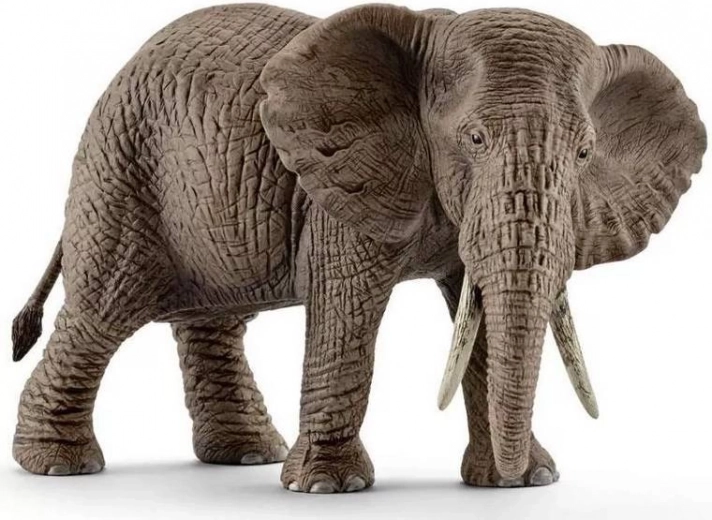 Schleich Wild Life African Elephant – Female