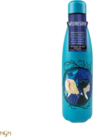 Wednesday termosjoogipudel Wednesday ja Edin 500 ml