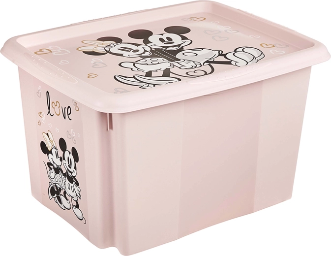 Plastist kaanega hoiukast Minnie, 30 l