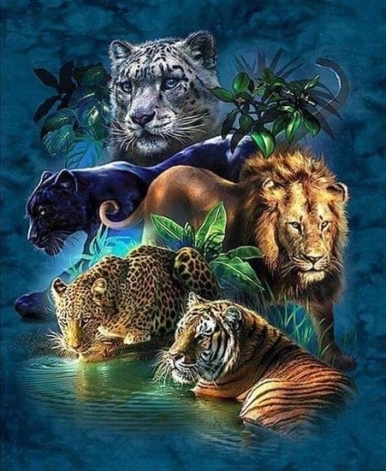 Teemantmaalimine Safari loomad 30 × 40 cm