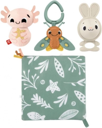 Beebide kinkekomplekt Maailm aistinguid FISHER‑PRICE