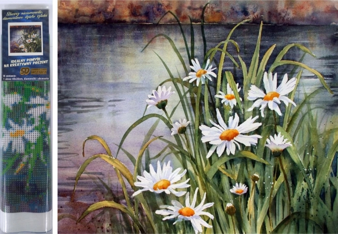 Teemantmaal – karikakrad vee ääres 30 × 40 cm