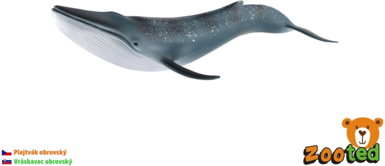 27 cm pikkune sinivaala kujuke