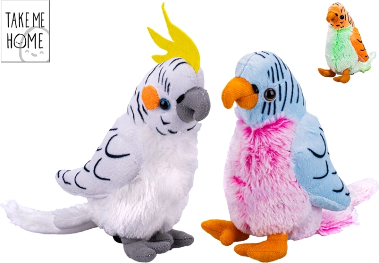 Pehme papagoi Take Me Home 20 cm