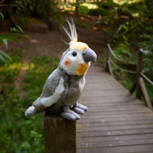 Turvaline valik kõige pisematele