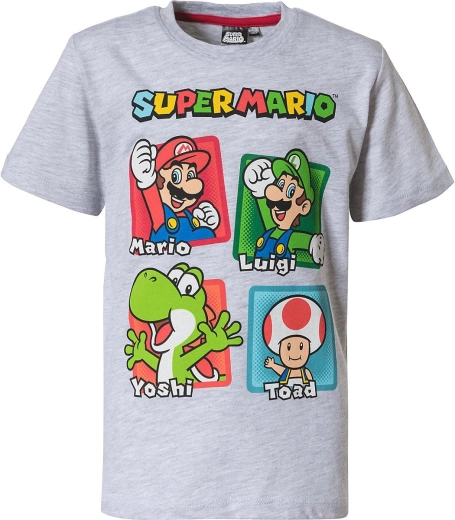 Super Mario lemmikkangelased