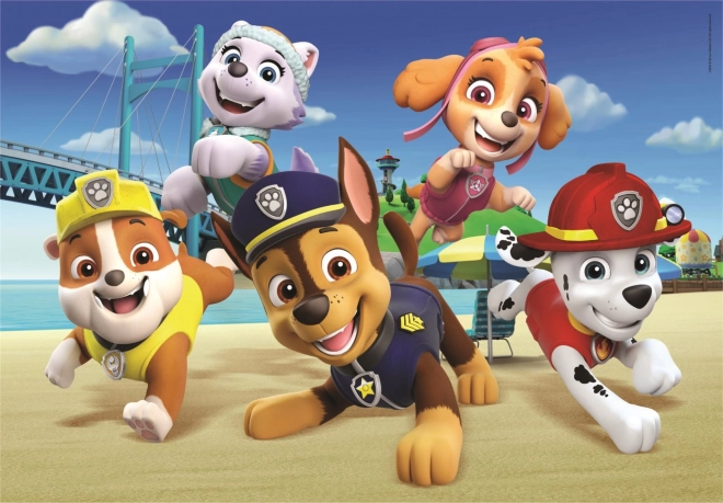 Puzzle maxi 60 pieces PAW Patrol