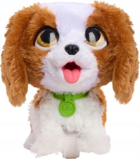 Soft plush and an adorable look