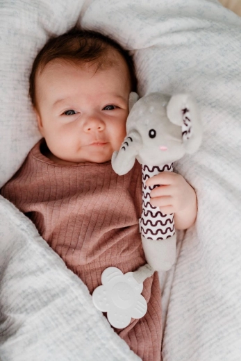 Õrn piiks sensoorseks arenguks