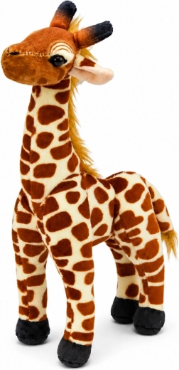 Practical size 30 cm