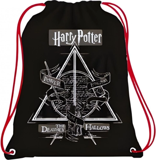 Harry Potteri nöörkinnitusega kott