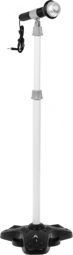 Laula ja mängi samaaegselt