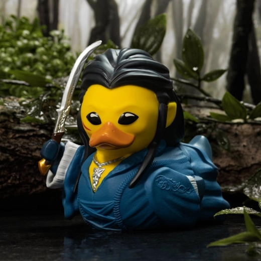 Stiilne aknaga karp eksponeerimiseks