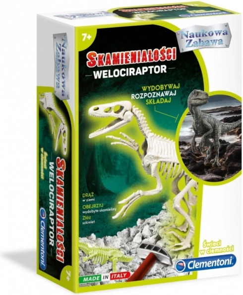 Velociraptor Fossil