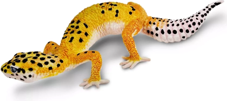 Ohutu, mittetoksiline teostus