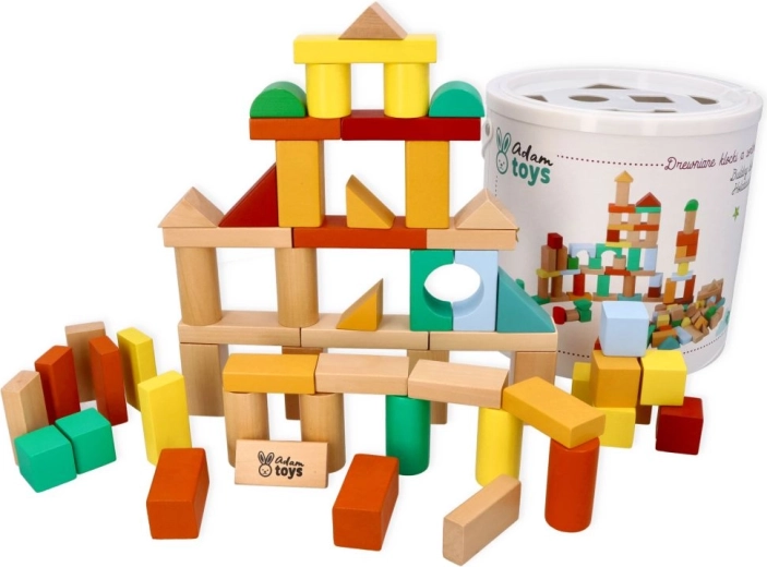 Adam Toys puidust klotsid sorteerijaga 100 tk