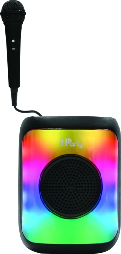 Karaoke fun with microphone