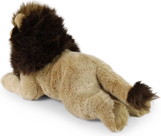 Ülipehme ja ohutu alates sünnist