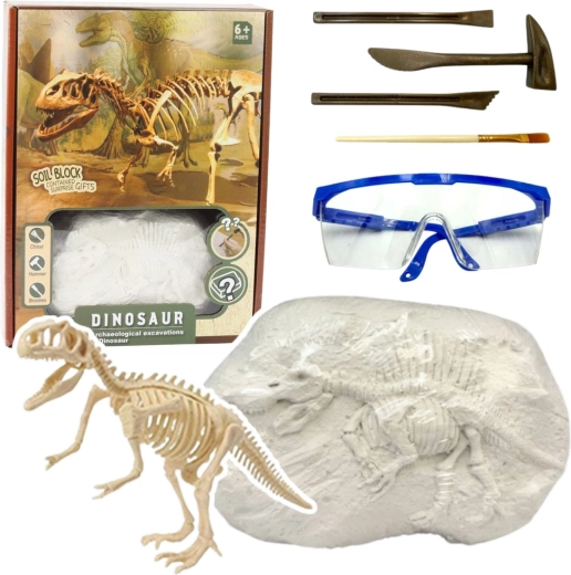 Paleontology Set – Excavation of a Dinosaur Skeleton Model with Tools