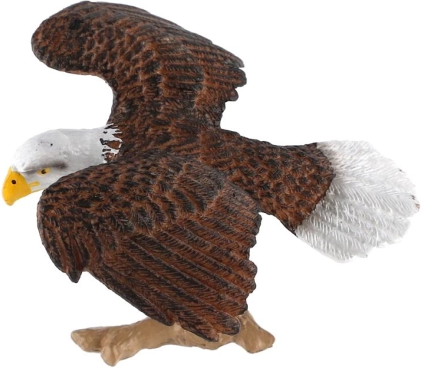 Inspired by a fascinating bird of prey