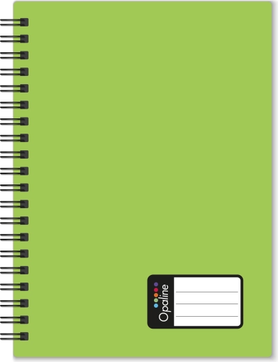 A5 Notebook with Double Spiral PP Opaline Green