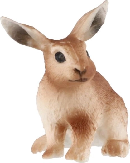 Kompaktne suurus 6 cm