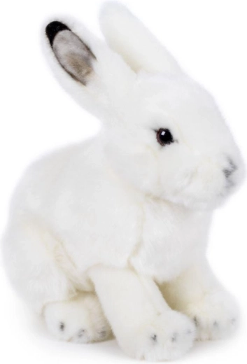 Plush Snow Bunny 19 × 19 cm