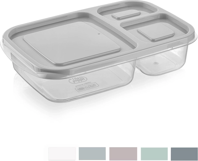 Smart divided food container 1.15 L (mixed colors)