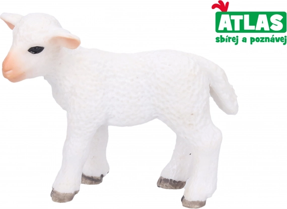 Tallekene kitseke 6,5 cm