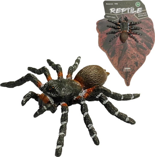 Wild Nature: realistic model of the White Knee Spider (8 cm) - 1 piece