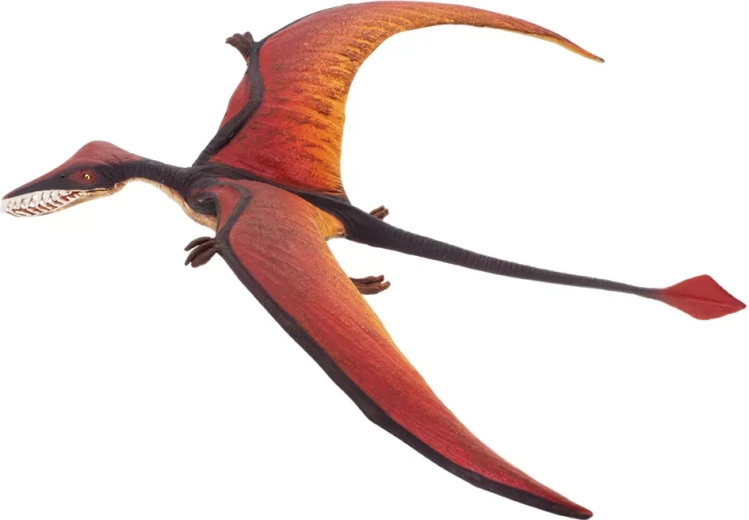 Safari Ltd. ramphorhynchus – 1 tk