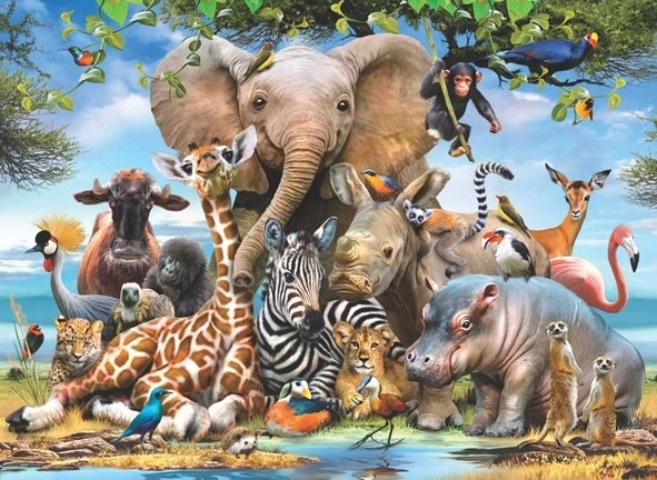ANATOLIAN Puzzle – African Smile, 1000 pieces