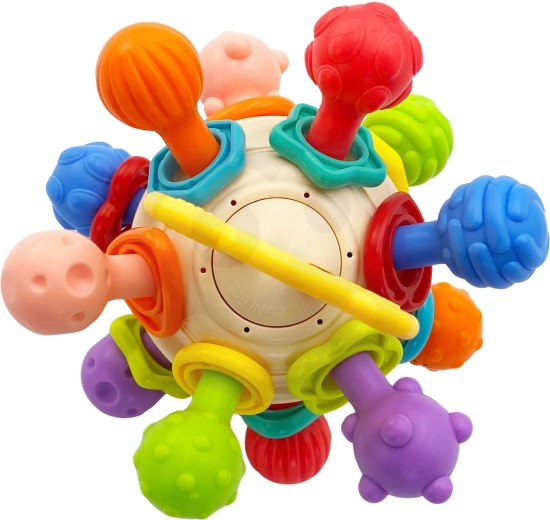 Development of the senses and motor skills