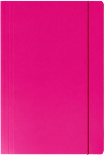 A4+ kartongimapp kummipaelaga, roosa 300 g/m² – 1 tk