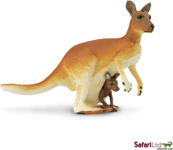 Kangaroo with Joey